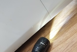 바퀴벌레퇴치 (조치원)