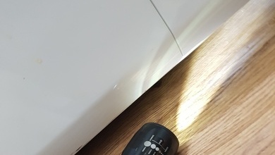 바퀴벌레퇴치 (조치원)