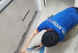 해충퇴치 (대전)