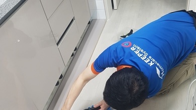 해충퇴치 (대전)