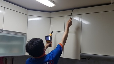 바퀴벌레 및 해충퇴치 (논산)