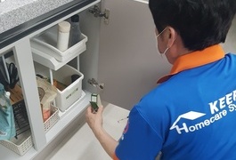 해충퇴치 (대전)