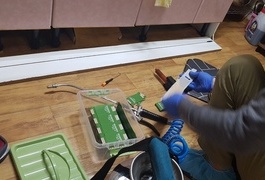 해충퇴치 서비스사례 02